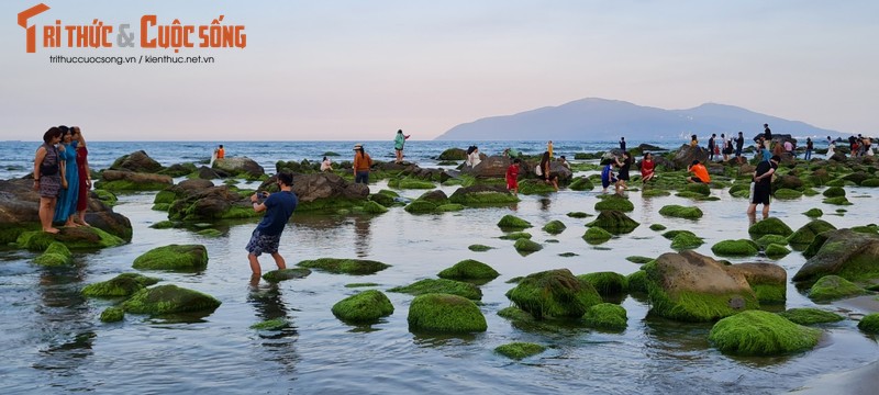 Ghenh da Nam O mua reu- diem check-in cuc hot