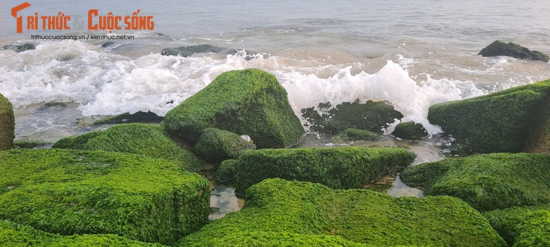 Lang ngam binh minh tren bien Da Nang-Hinh-5