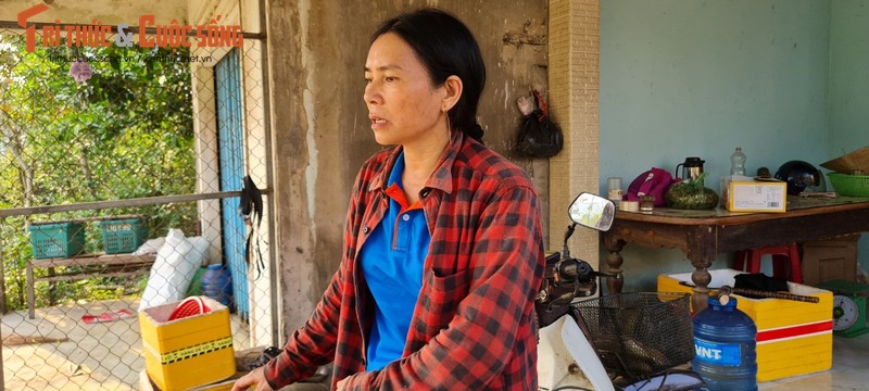 Quang Nam: Doanh nghiep khong co tram can van ngang nhien khai thac cat-Hinh-4