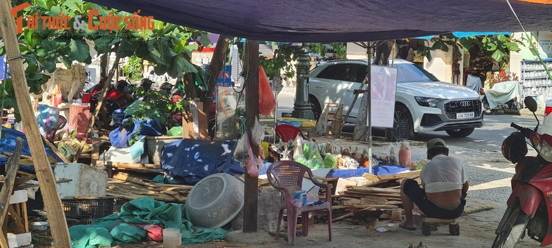 Da Nang: Ngo ngang canh nhech nhac quanh khu danh thang Ngu Hanh Son-Hinh-7