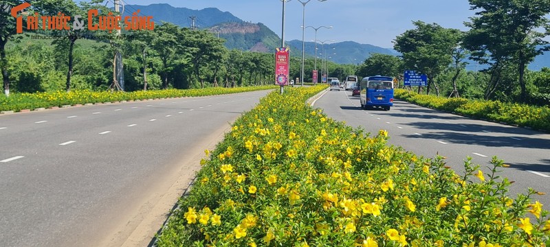 Kham pha tuyen duong do thi duy nhat tai Viet Nam khong co nha o-Hinh-3