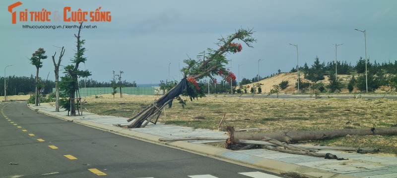 Can canh Nhon Hoi New City:Thanh pho moi khong mot bong nguoi-Hinh-4