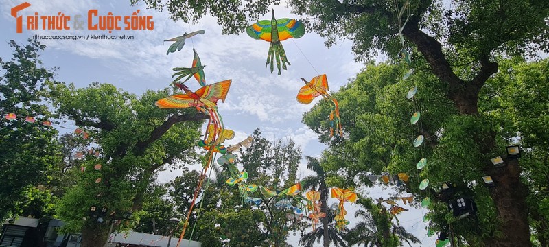 Den Festival Hue, chiem nguong “nghe thuat roi tren khong“-Hinh-2