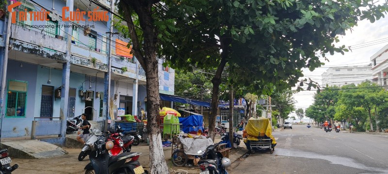 Da Nang: Nhech nhac chung cu cu nat giua trung tam thanh pho