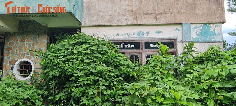 Bi an khach san bo hoang tren deo Hai Van-Hinh-4