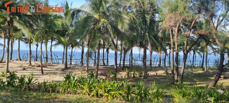 Bi an ngoi nha bo hoang o “bai bien dep nhat chau A“-Hinh-2