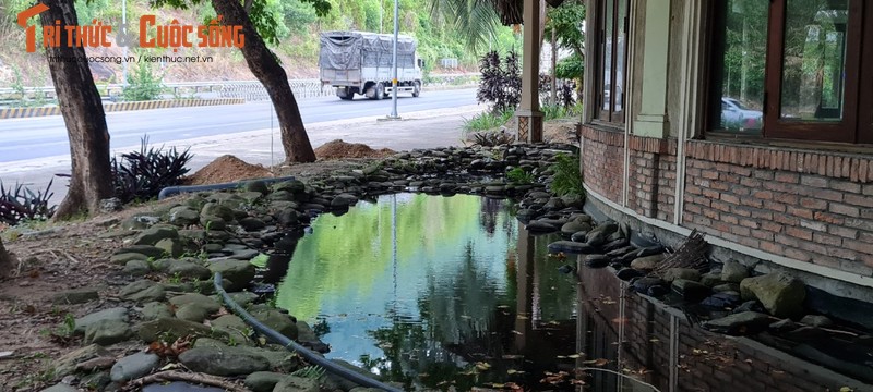 Ngo ngang canh hoang phe tai Tram dung chan noi tieng tren deo Hai Van-Hinh-9