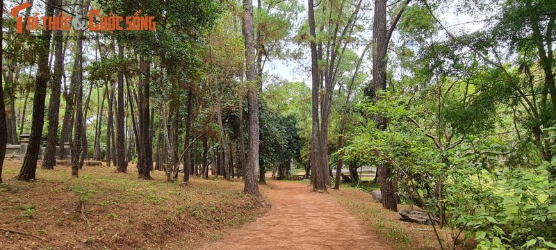 Lac buoc o ngoi co tu doc dao nhat co do-Hinh-3