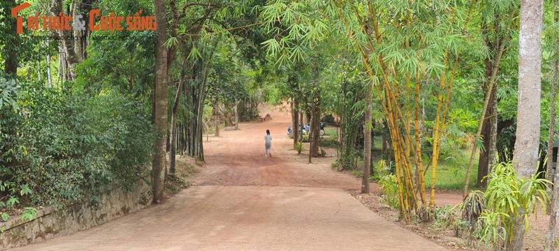 Lac buoc o ngoi co tu doc dao nhat co do-Hinh-5