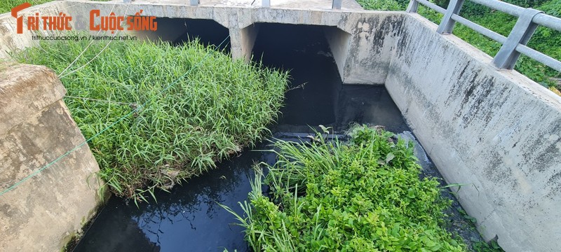 Da Nang: Cong thoat nuoc day co dai, dan lo nha ngap toi noc-Hinh-11