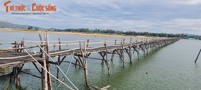 Den xu “hoa vang co xanh”, ngam cay cau go dai nhat Viet Nam-Hinh-8