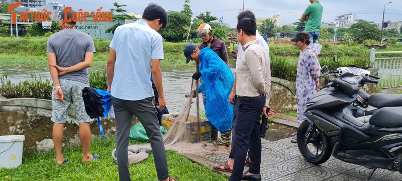 Da Nang: Mua lon, nuoc tran bo, dan do xo di bat ca-Hinh-11