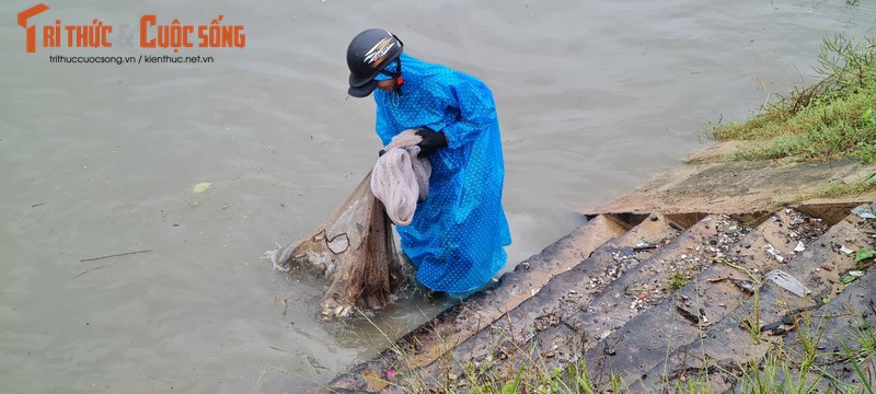 Da Nang: Mua lon, nuoc tran bo, dan do xo di bat ca-Hinh-4