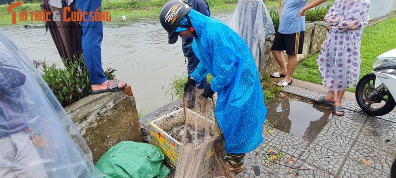 Da Nang: Mua lon, nuoc tran bo, dan do xo di bat ca-Hinh-5