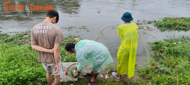 Da Nang: Mua lon, nuoc tran bo, dan do xo di bat ca-Hinh-7