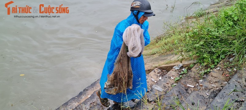 Da Nang: Mua lon, nuoc tran bo, dan do xo di bat ca-Hinh-9