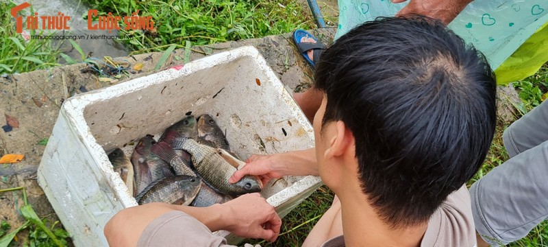 Da Nang: Mua lon, nuoc tran bo, dan do xo di bat ca-Hinh-12