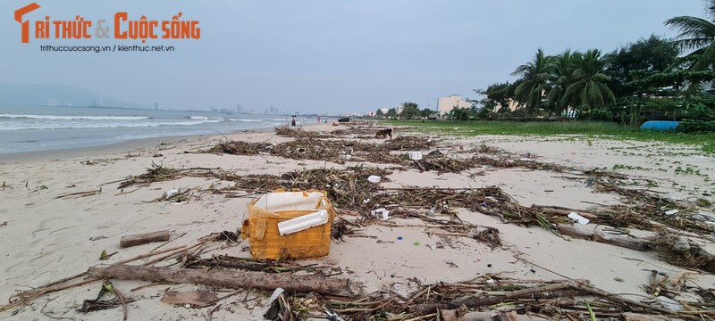 Sau dot mua lon keo dai, rac ngap bo bien Da Nang-Hinh-4