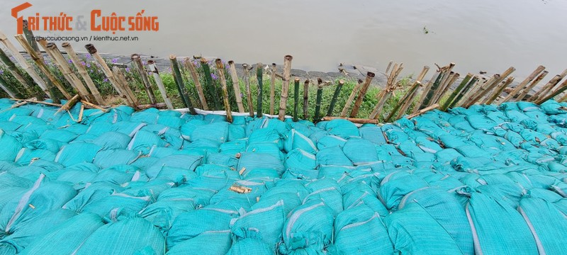 Da Nang: Kenh thoat nuoc Phu Loc bi sut lun, sat lo nghiem trong-Hinh-8