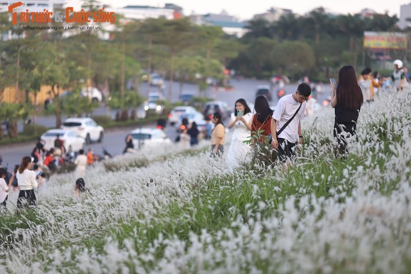 De co lau Long Bien phu trang, gioi tre dua nhau check in-Hinh-4