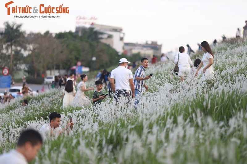 De co lau Long Bien phu trang, gioi tre dua nhau check in-Hinh-8