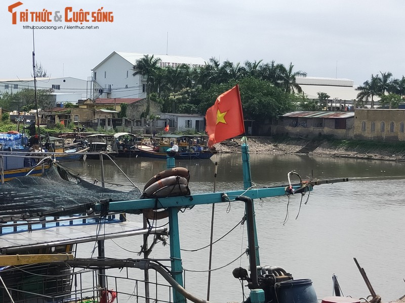 Hai Phong: Dan buc xuc vi Cong ty Viet Truong gay o nhiem-Hinh-3