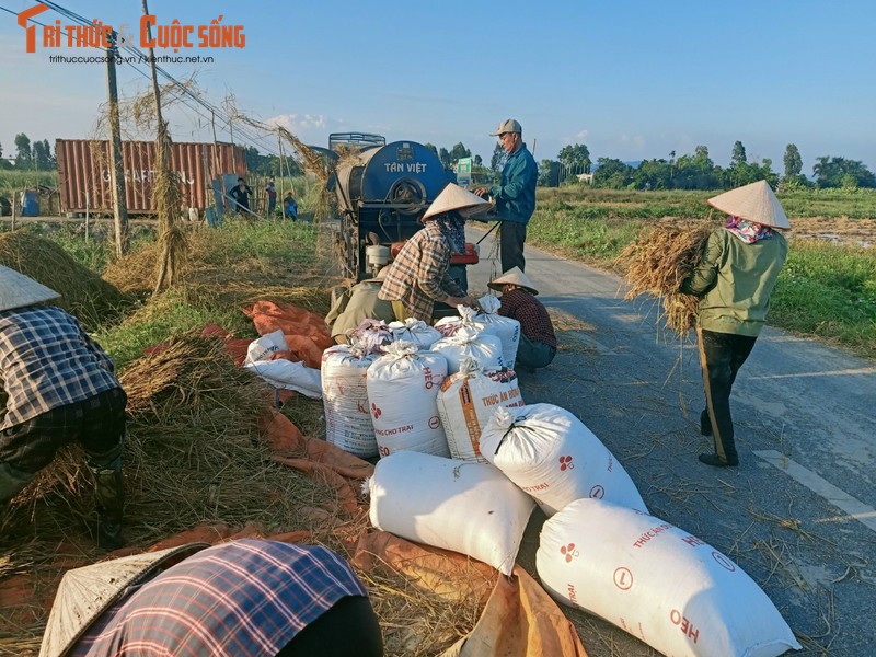 Nam giang vien nghi day ve lam nong nghiep sach, thu hang chuc ty moi nam-Hinh-4