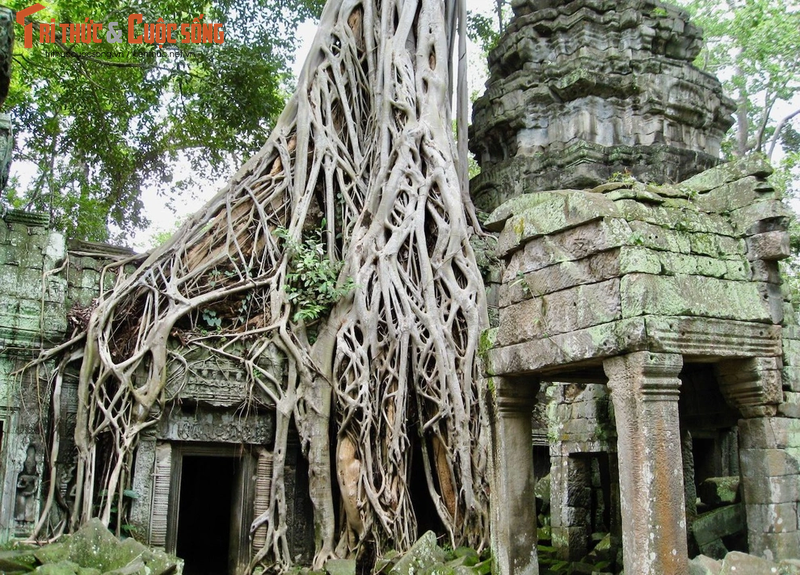 He lo 8 bi mat giau kin ngan nam ve ky quan Angkor Wat-Hinh-8