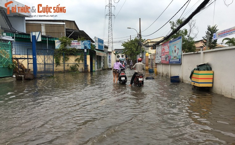 Trieu cuong vuot muc bao dong, nguoi dan TP HCM khon don-Hinh-7