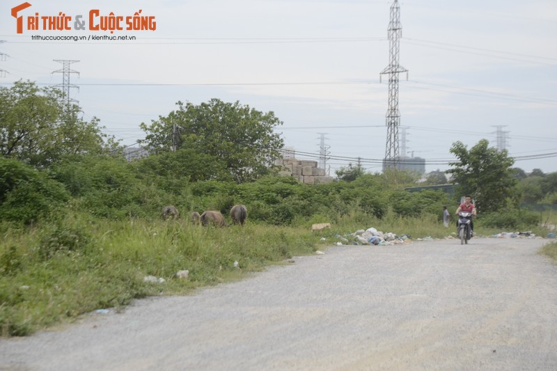 Bo hoang nhieu nam, KDT moi Thinh Liet treo bien canh bao cuop khap noi-Hinh-10