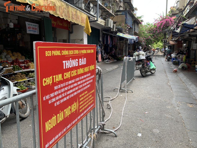 Ngay dau nang muc chong dich, sieu thi Ha Noi day ap rau tuoi, thit ca...-Hinh-11