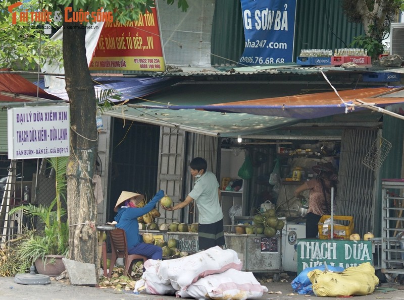 Ha Noi tiem vac xin dien rong, mat hang nay dat khach...dan dua nhau ban-Hinh-11