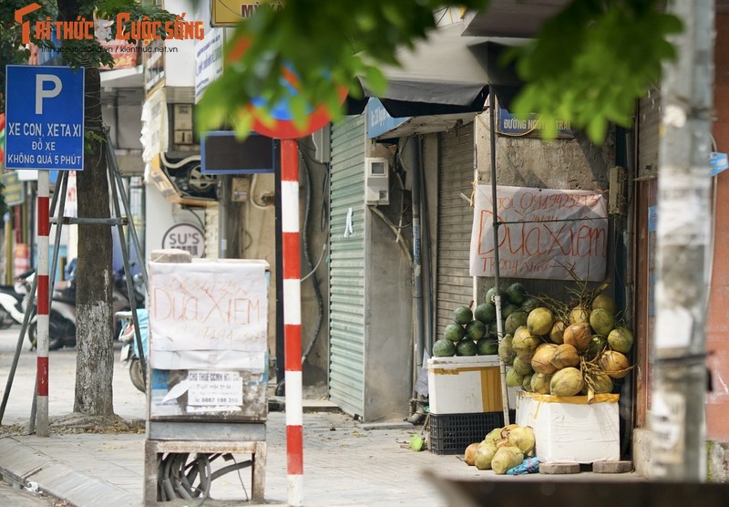 Ha Noi tiem vac xin dien rong, mat hang nay dat khach...dan dua nhau ban-Hinh-6