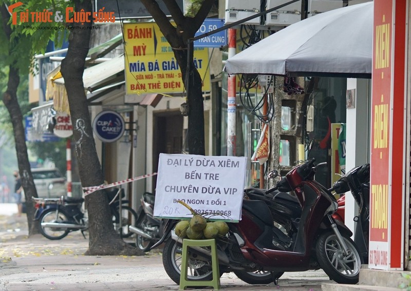 Ha Noi tiem vac xin dien rong, mat hang nay dat khach...dan dua nhau ban-Hinh-7