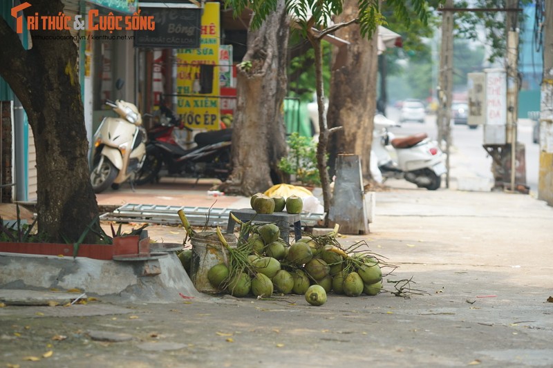 Ha Noi tiem vac xin dien rong, mat hang nay dat khach...dan dua nhau ban-Hinh-9