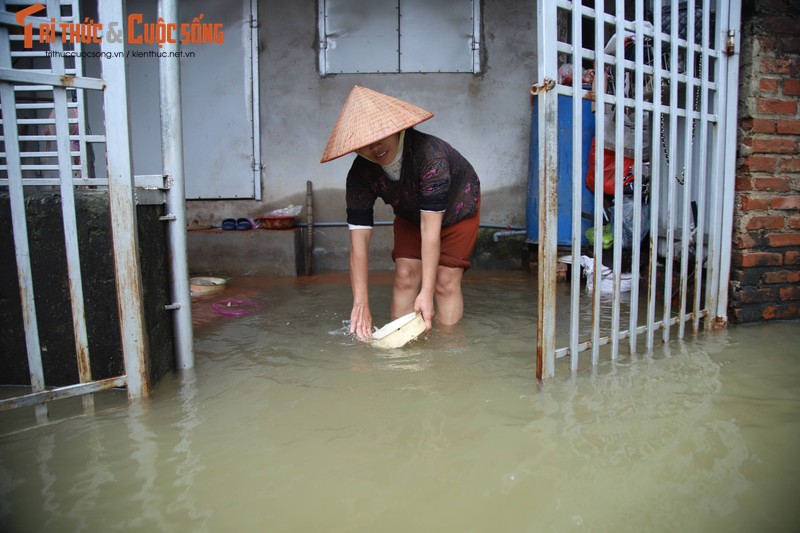 Mua lon keo dai, hang tram ho dan tai Ha Noi ngap sau trong nuoc-Hinh-3