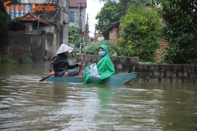 Mua lon keo dai, hang tram ho dan tai Ha Noi ngap sau trong nuoc-Hinh-7