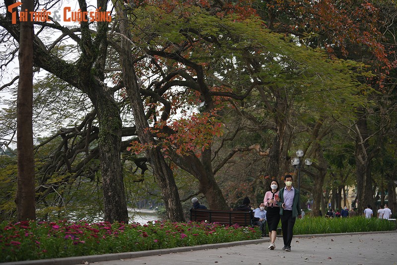 Ha Noi dep diu dang mua Loc Vung thay la-Hinh-5