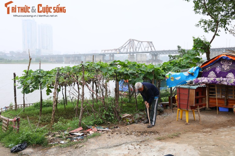 Cuoc song nguoi dan khu vuc bai giua song Hong chuan bi quy hoach-Hinh-4